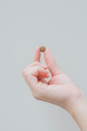 080604 Eazy me輕盈酵素